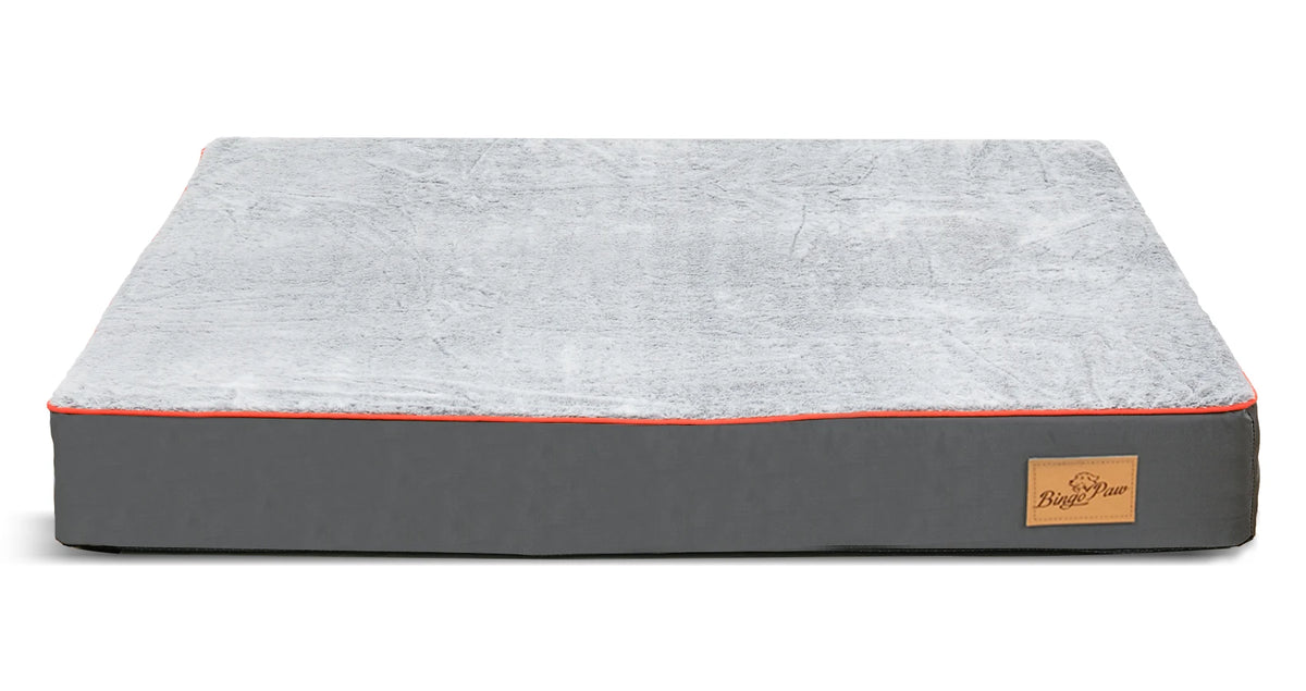 Bingopaw Orthopedic Memory Foam Dog Bed With Removable Cover
