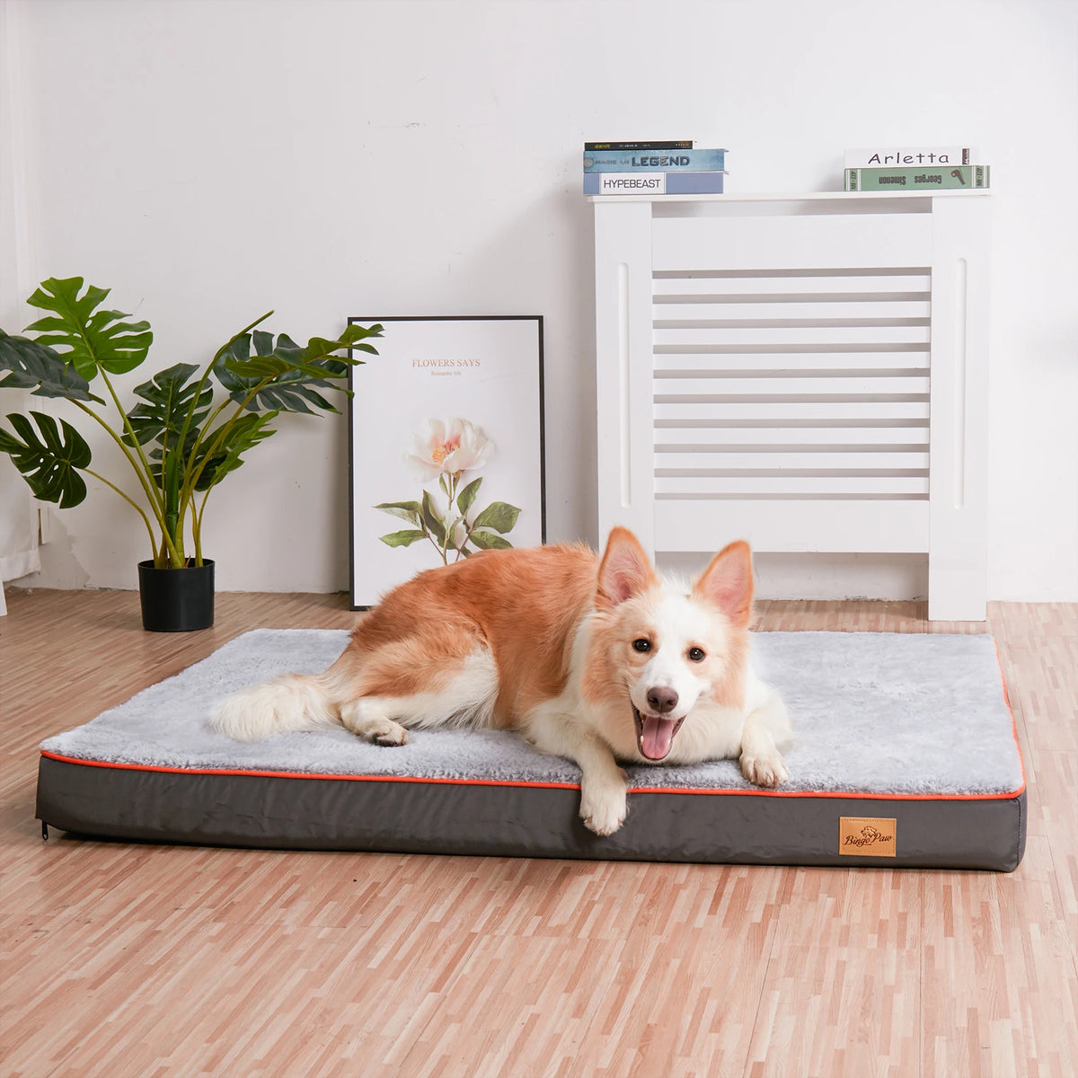Bingopaw Orthopedic Memory Foam Dog Bed With Removable Cover