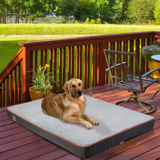 Bingopaw Orthopedic Memory Foam Dog Bed With Removable Cover