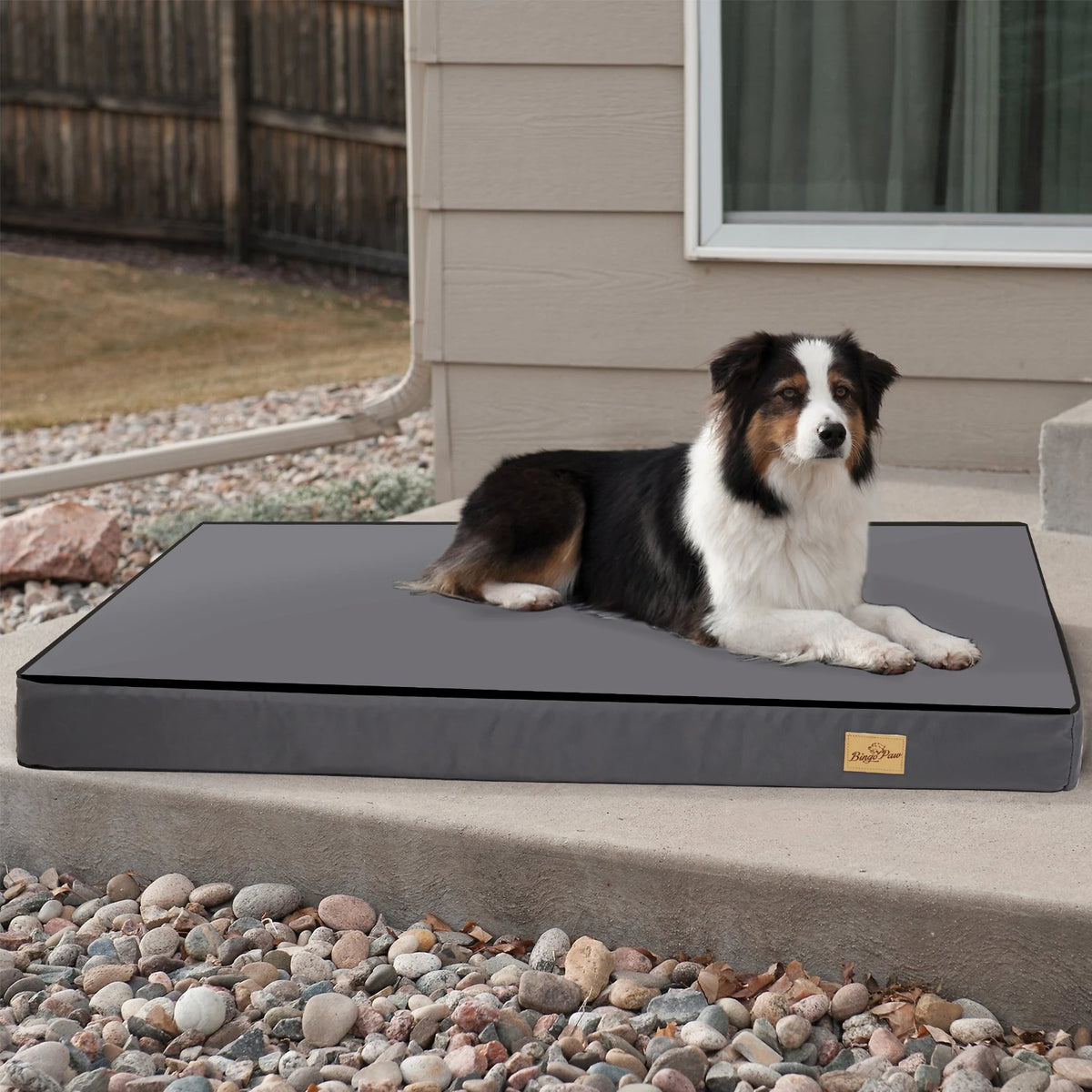 BINGOPAW Washable Orthopedic Dog Bed Sponge Foam Pet Bedding