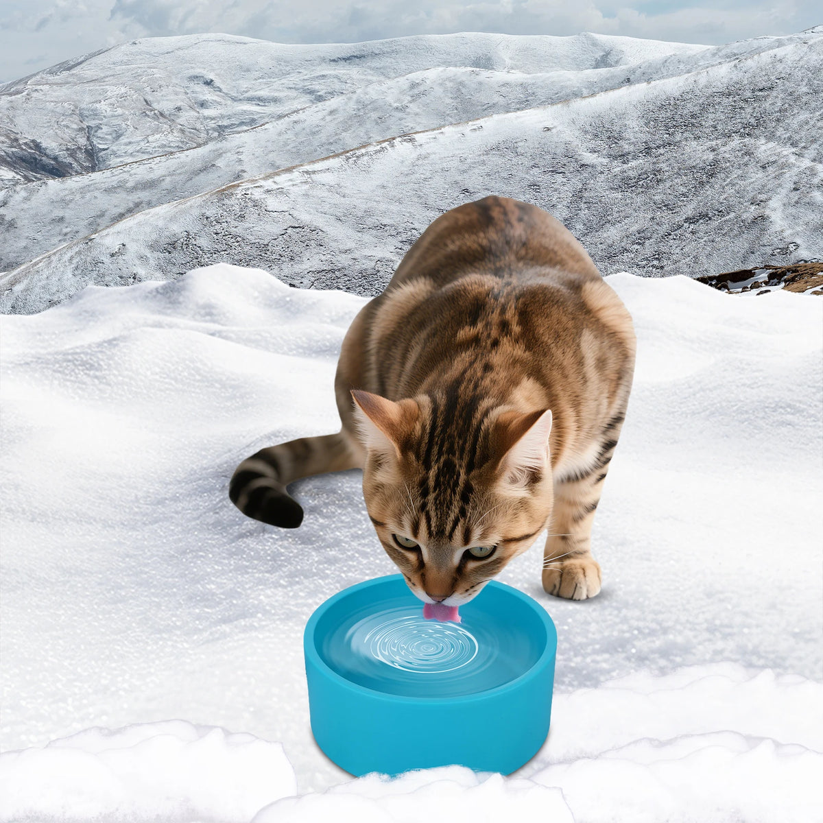 Shunmaii Heated Outdoor Pet Water Bowl For Dogs And Cats