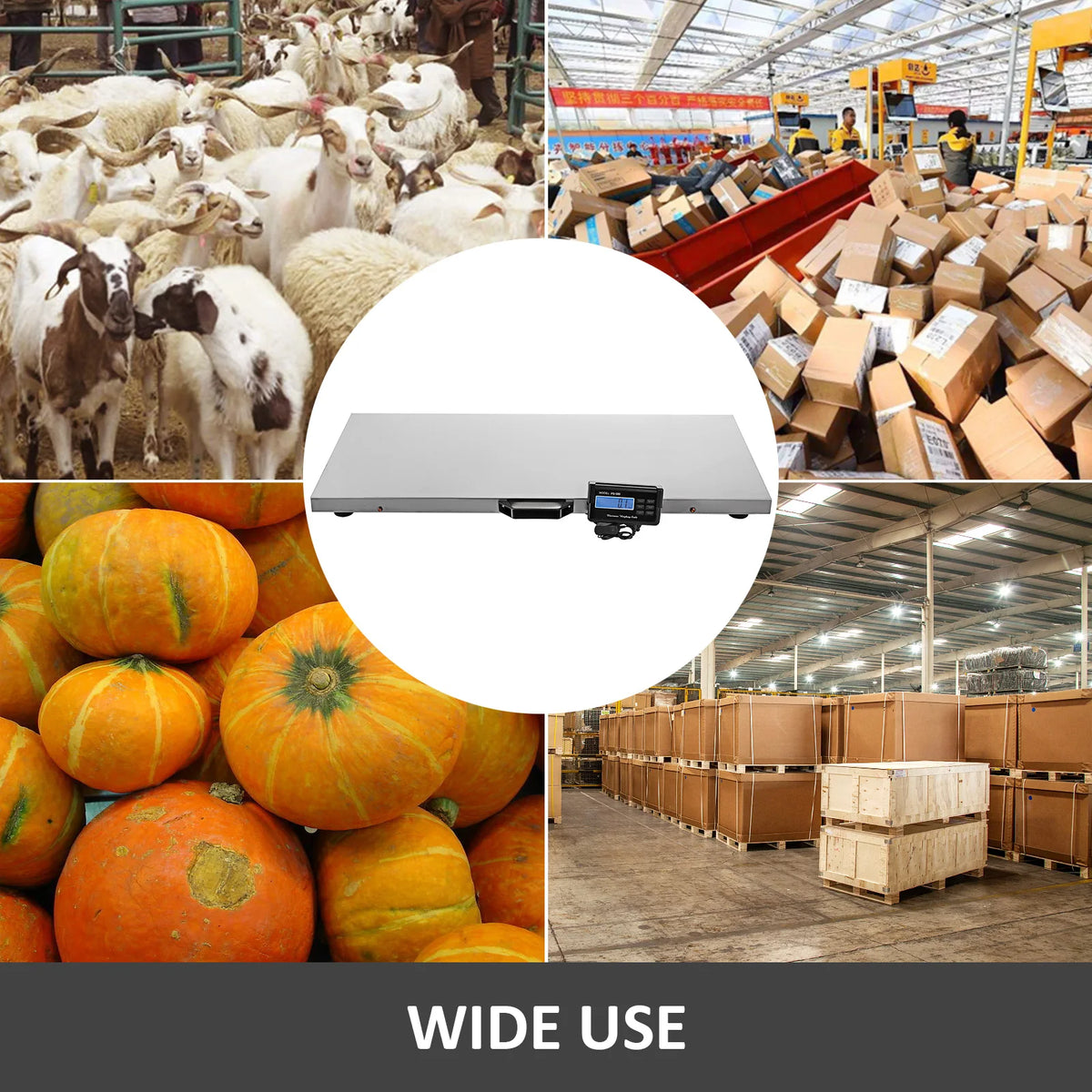 Digital Stainless Steel Electronic Platform Scale For Livestock Use