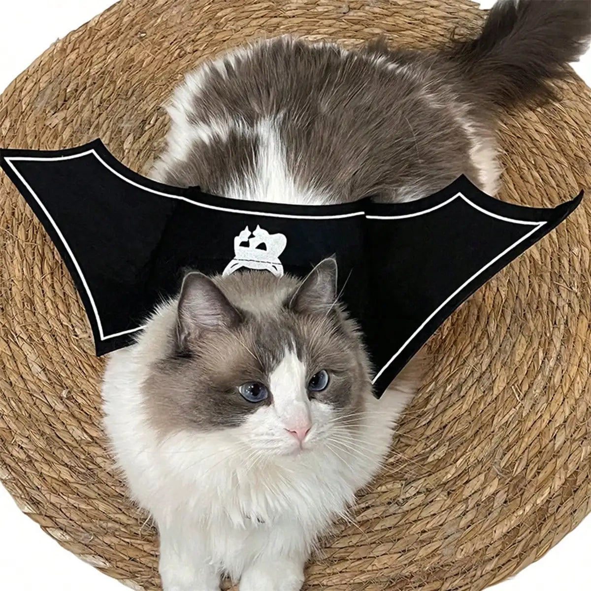 Halloween Bat Wings Costume for Cats and Dogs Devil Print