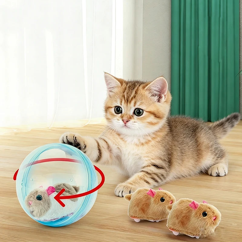 Transparent Electric Rolling Hamster Exercise Ball For Small Pets