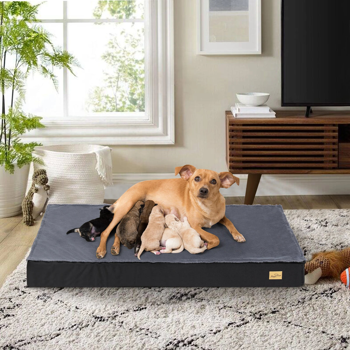 BINGOPAW Washable Orthopedic Dog Bed Sponge Foam Pet Bedding