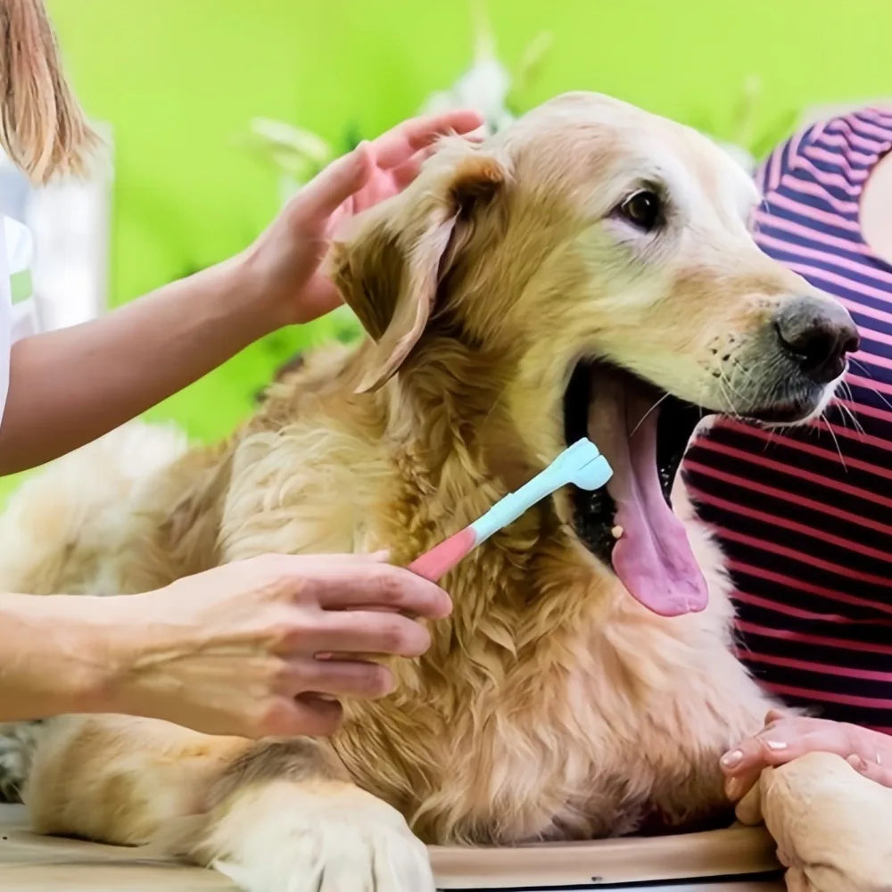 Three Sided Pet Toothbrush For Dogs And Cats Dental Cleaner