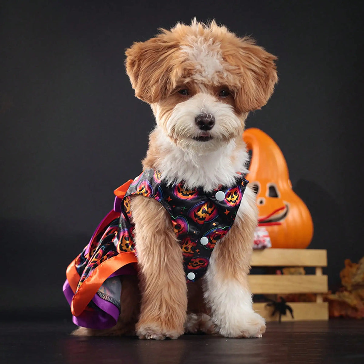 Funny Pumpkin And Skull Print Halloween Dog Dress With Bowknot