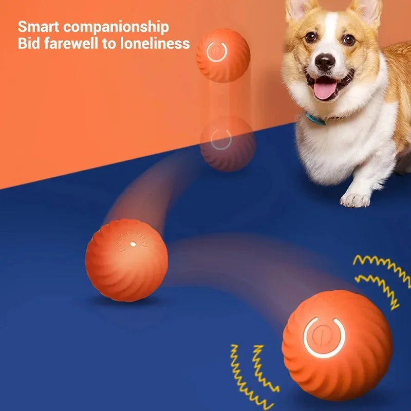 Automatic Moving Bouncing Ball Interactive USB Dog Toy For Puppies