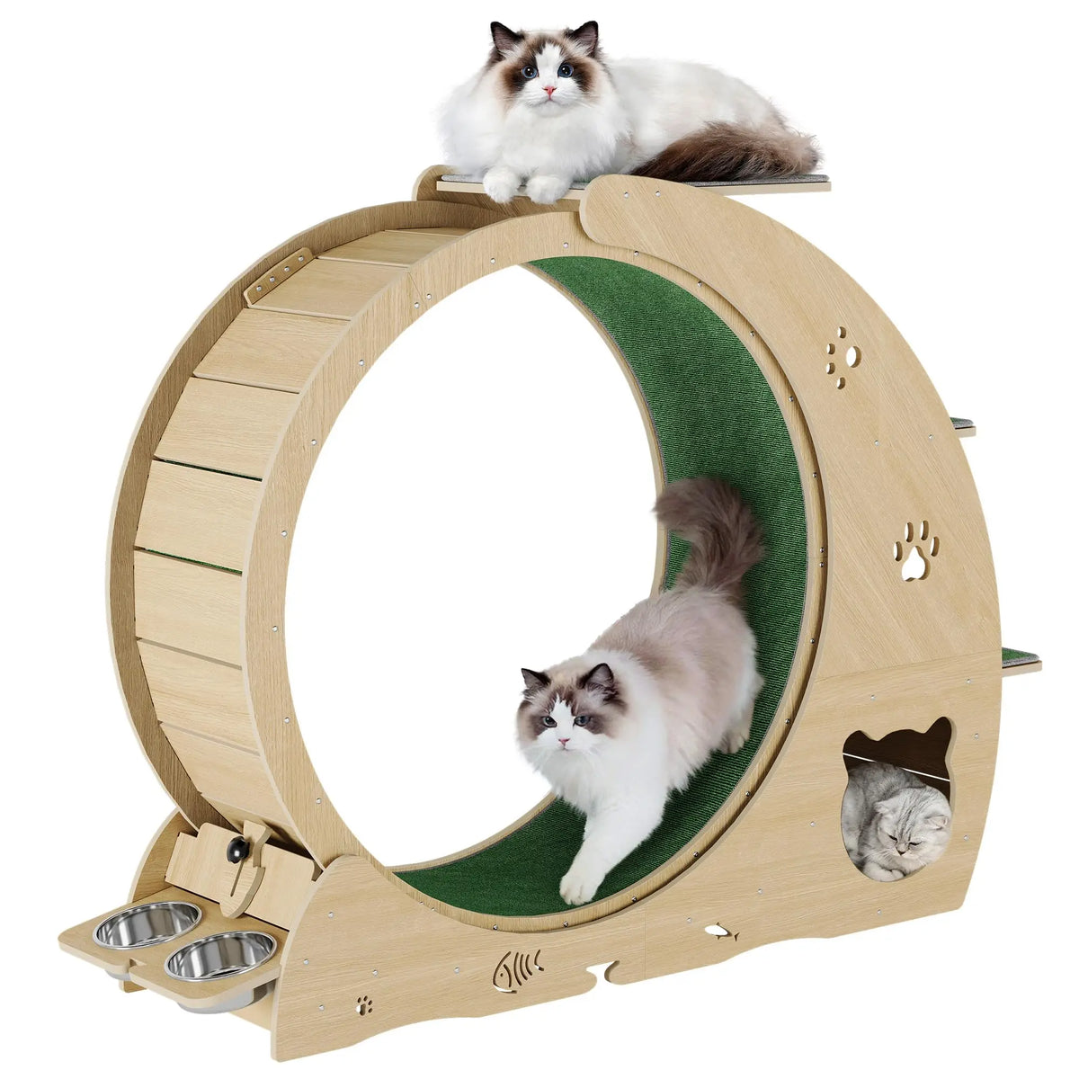 HiMISS Multifunctional Cat Exercise Wheel With Scratch Post