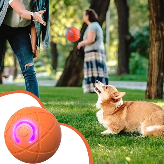 Interactive Self Rolling Dog Toy For Aggressive Chewers Waterproof Plush