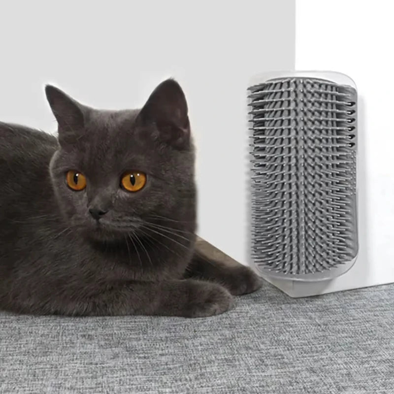 Cat Scratcher Massage Comb With Catnip For Deshedding And Grooming