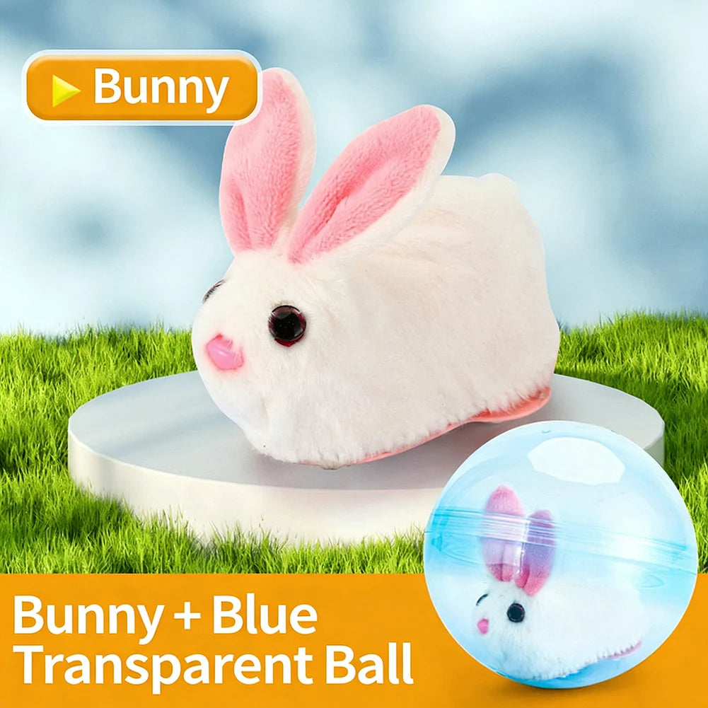 Transparent Electric Rolling Hamster Exercise Ball For Small Pets
