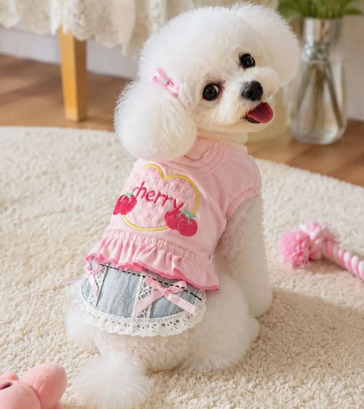 Dog Denim Skirt Vest Outfit for Outdoor Walking and Travel