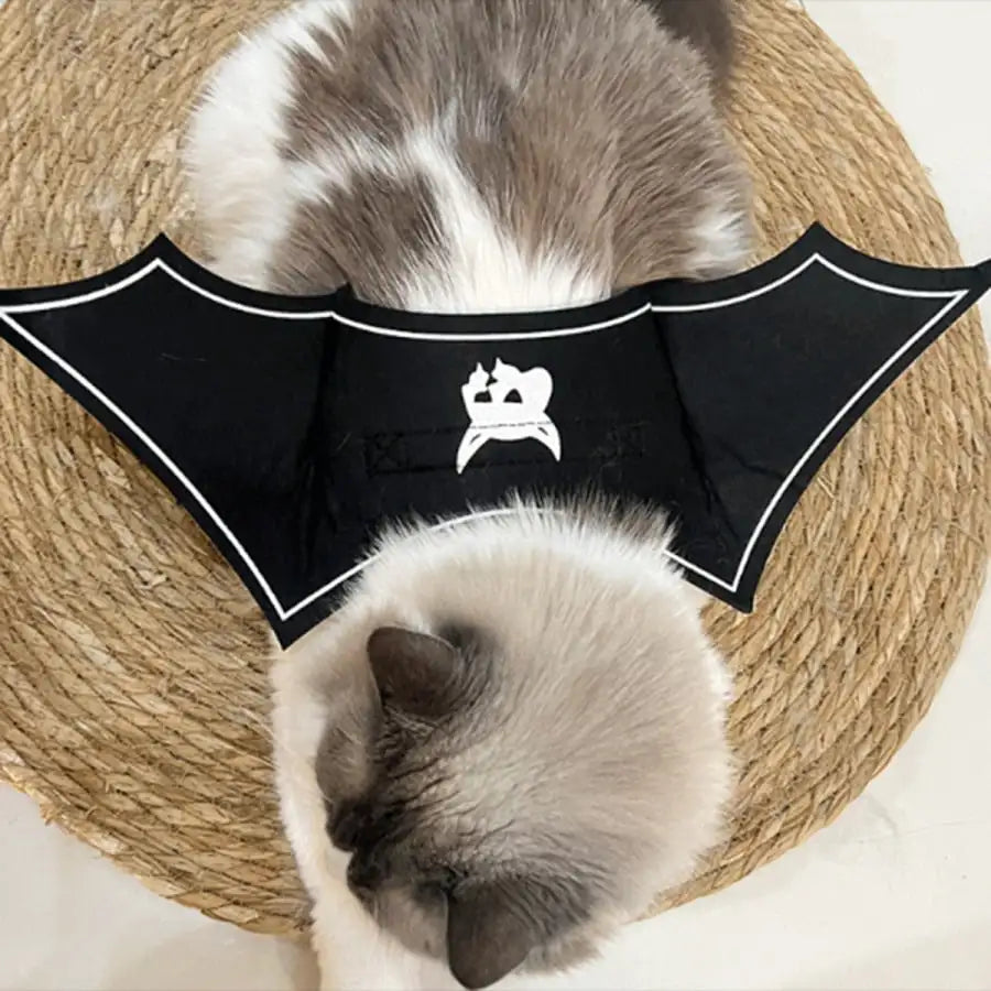 Halloween Bat Wings Costume for Cats and Dogs Devil Print