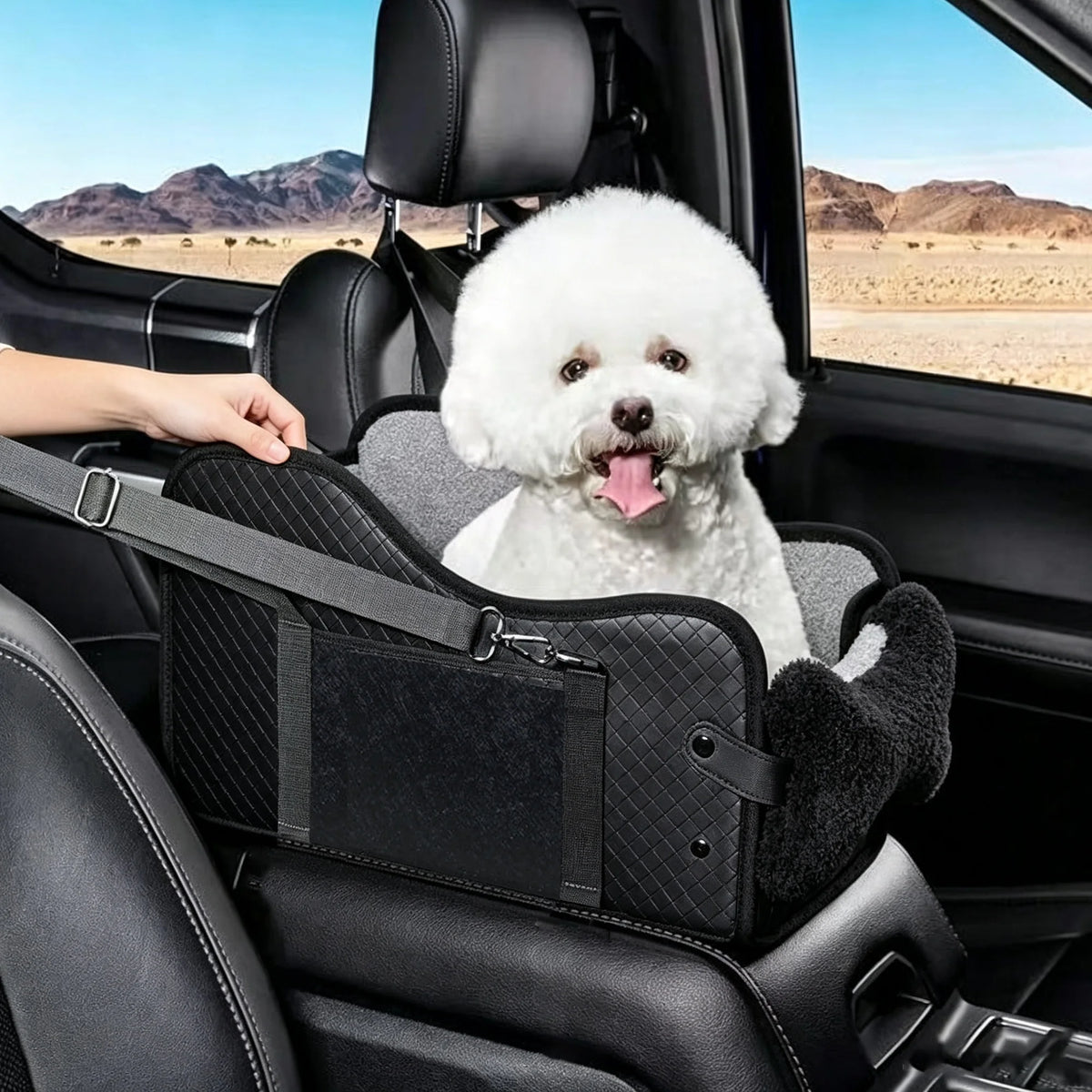 Pet Car Booster Seat With Safety Leash For Small Dogs