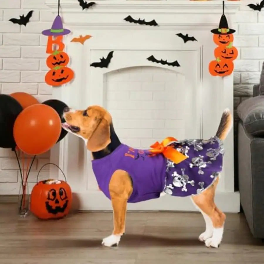 Halloween Dog Costume Dress With Witch And Pumpkin Details