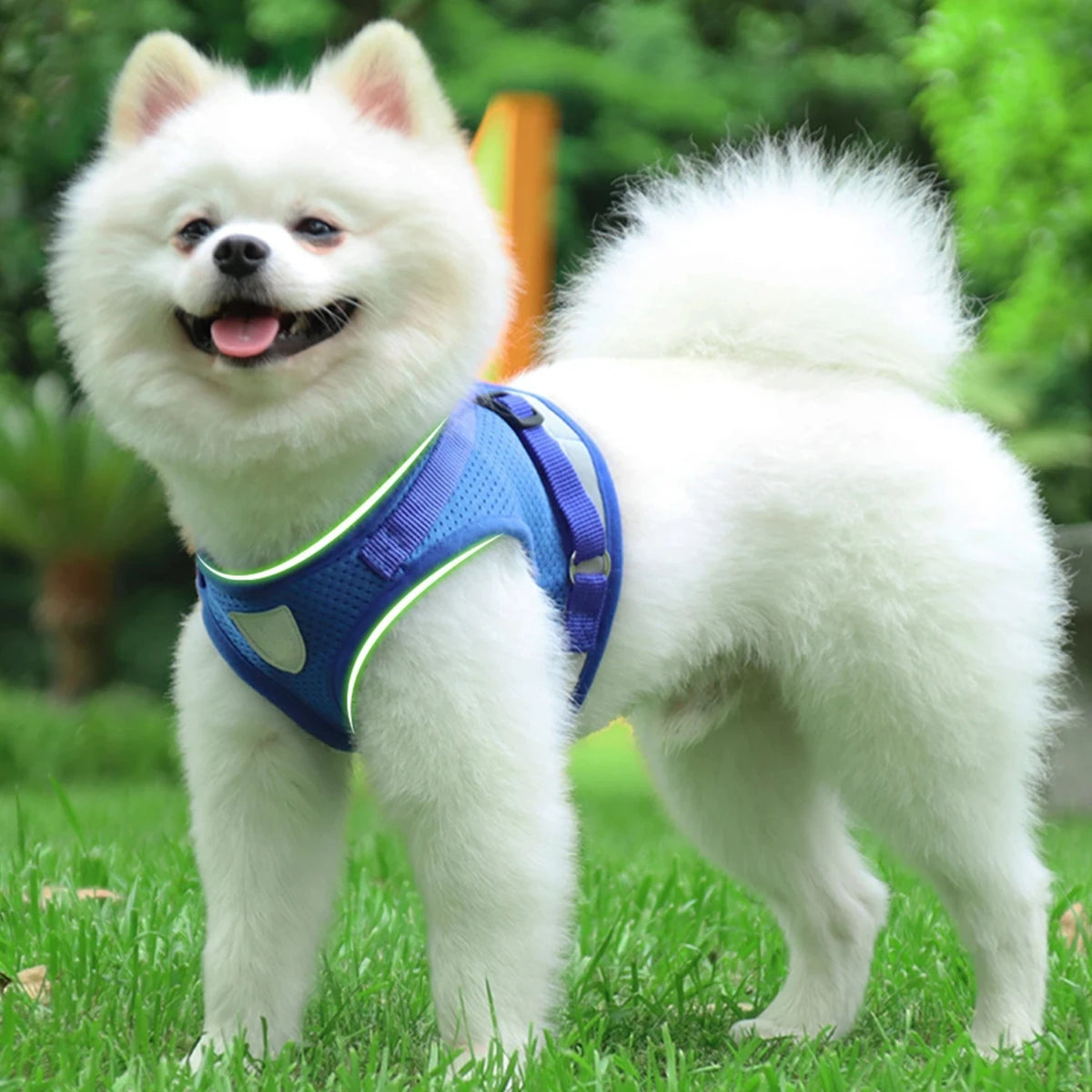 Reflective Adjustable Dog And Cat Vest Harness With Leash