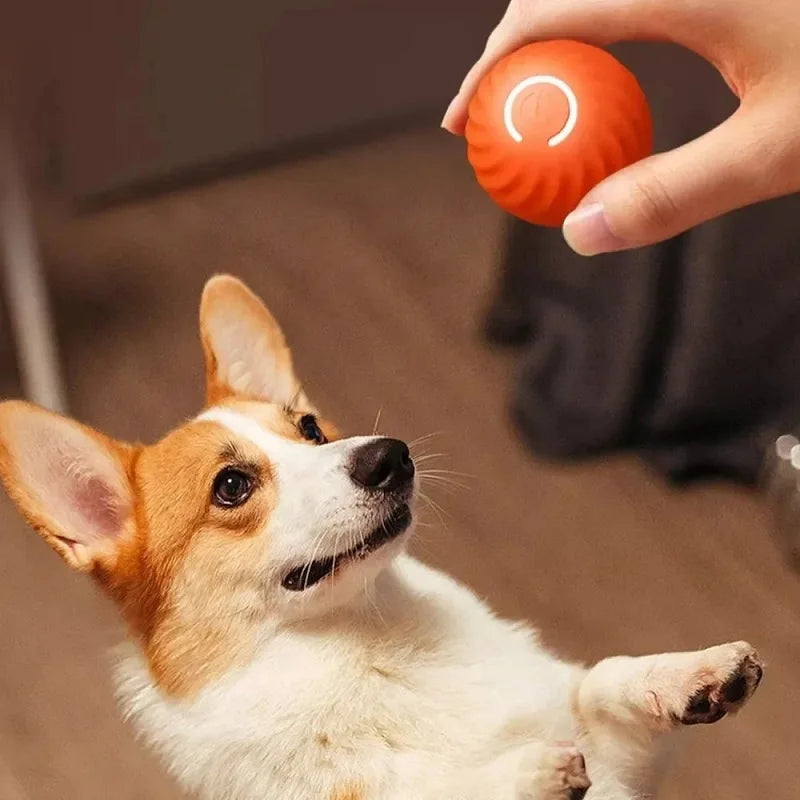Automatic Moving Bouncing Ball Interactive USB Dog Toy For Puppies