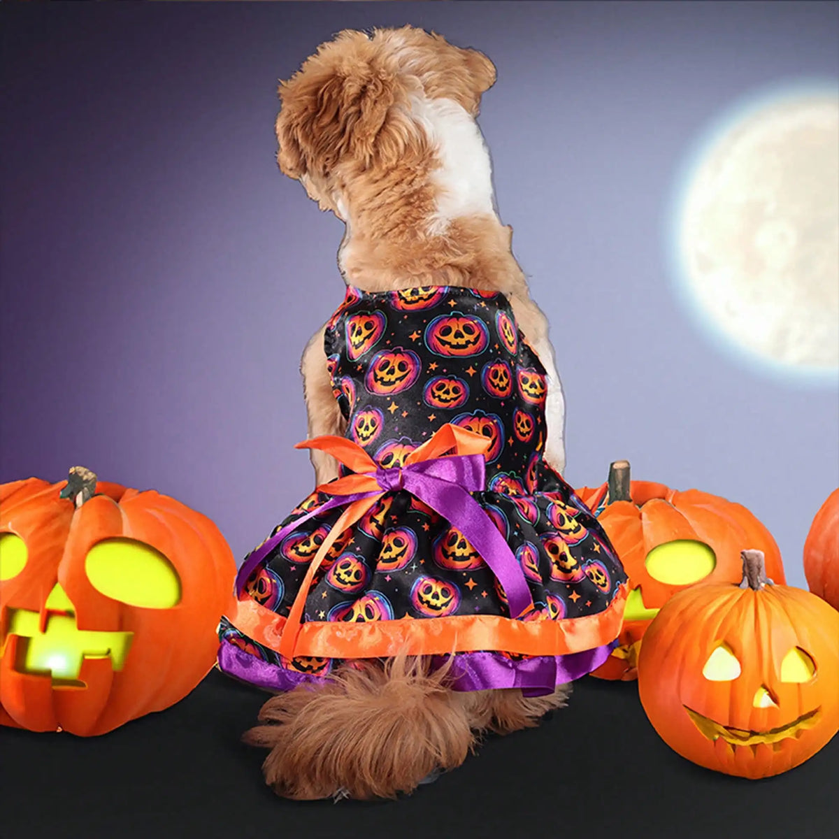 Funny Pumpkin And Skull Print Halloween Dog Dress With Bowknot