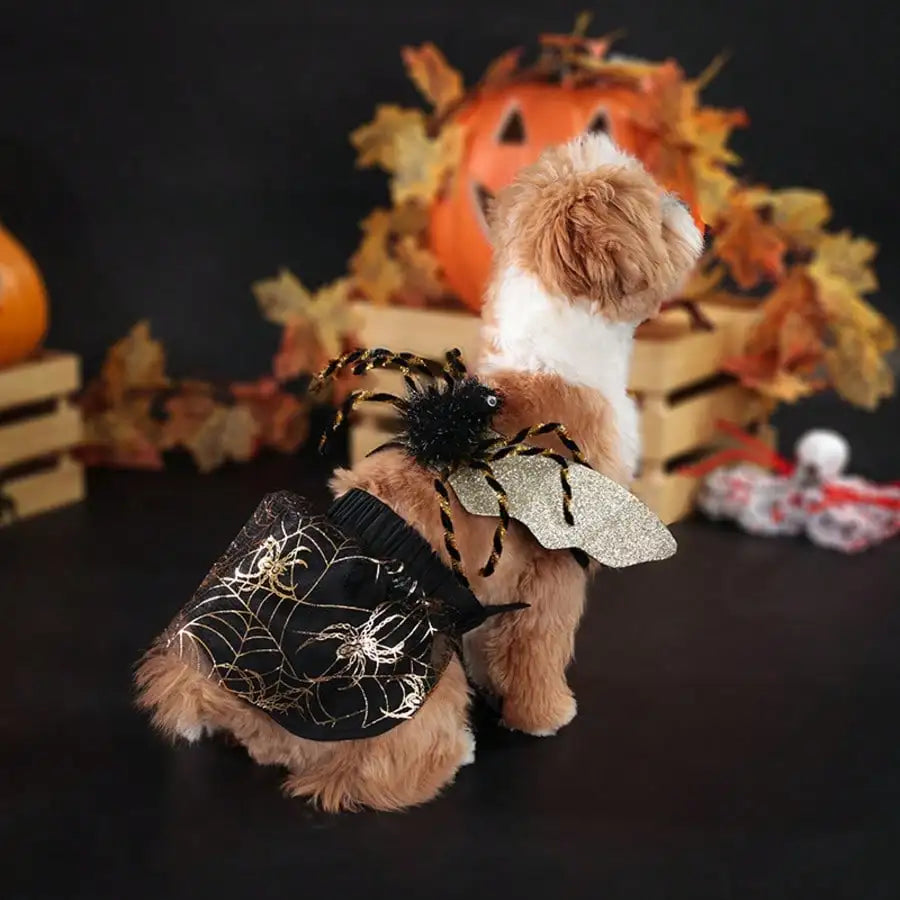Adjustable Halloween Spider Costume for Dogs Funny Pet Party Outfit
