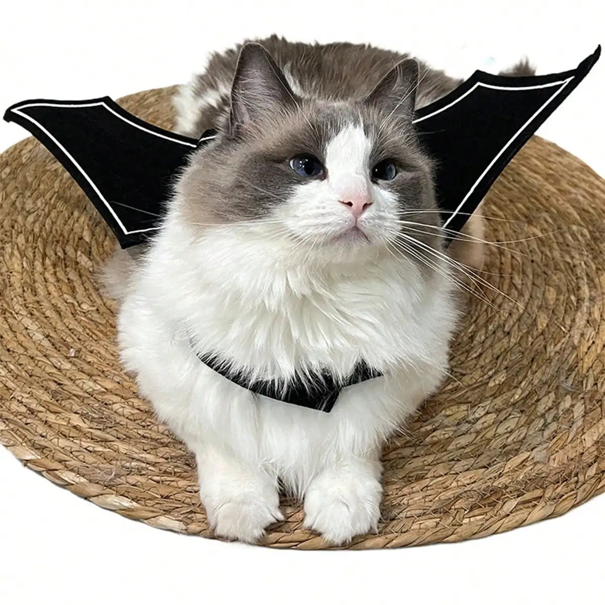 Halloween Bat Wings Costume for Cats and Dogs Devil Print