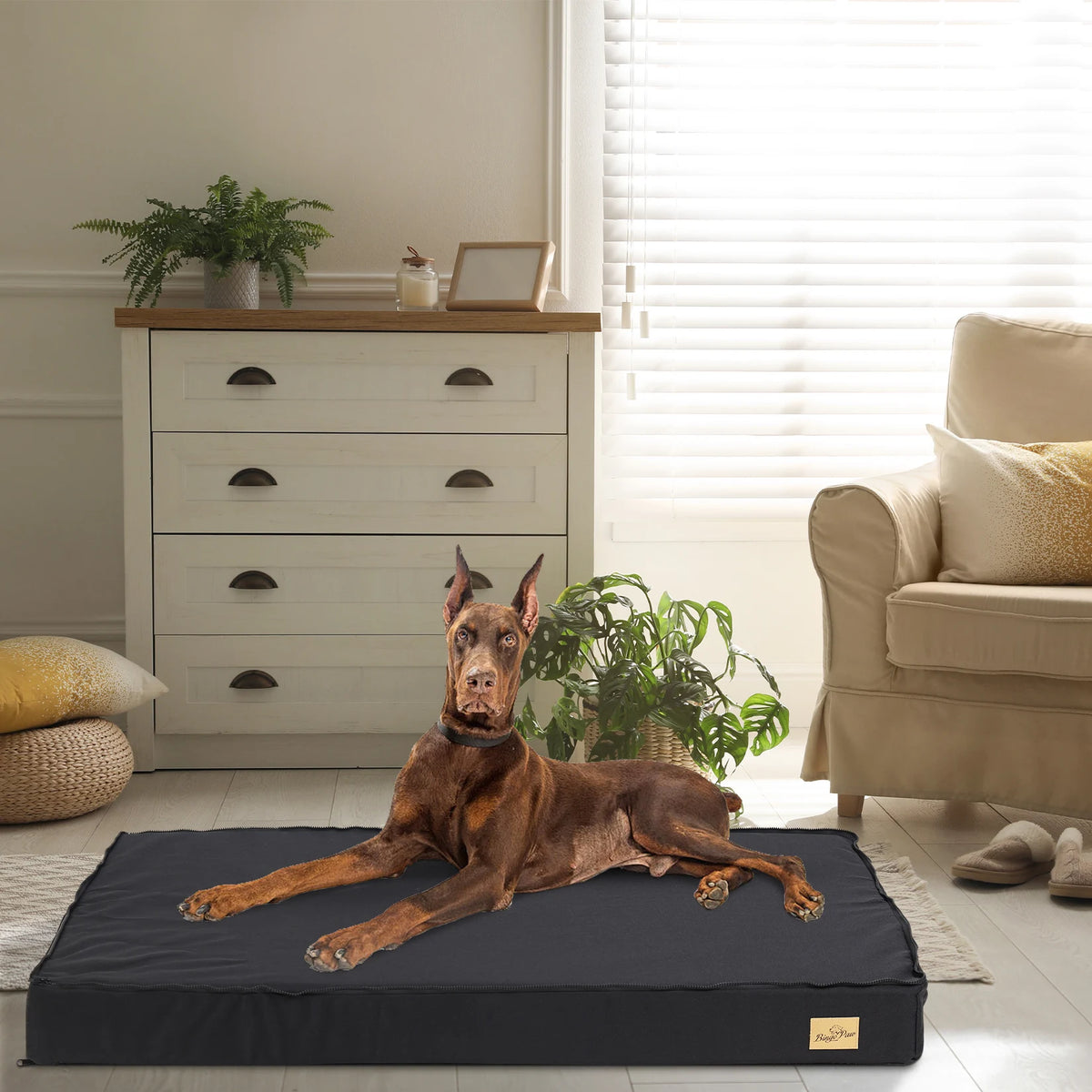 BINGOPAW Washable Orthopedic Dog Bed Sponge Foam Pet Bedding