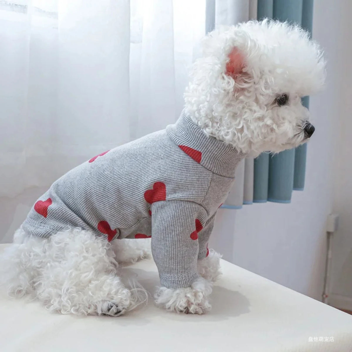 Love Printed Small Dog And Cat Shirt For Every Season