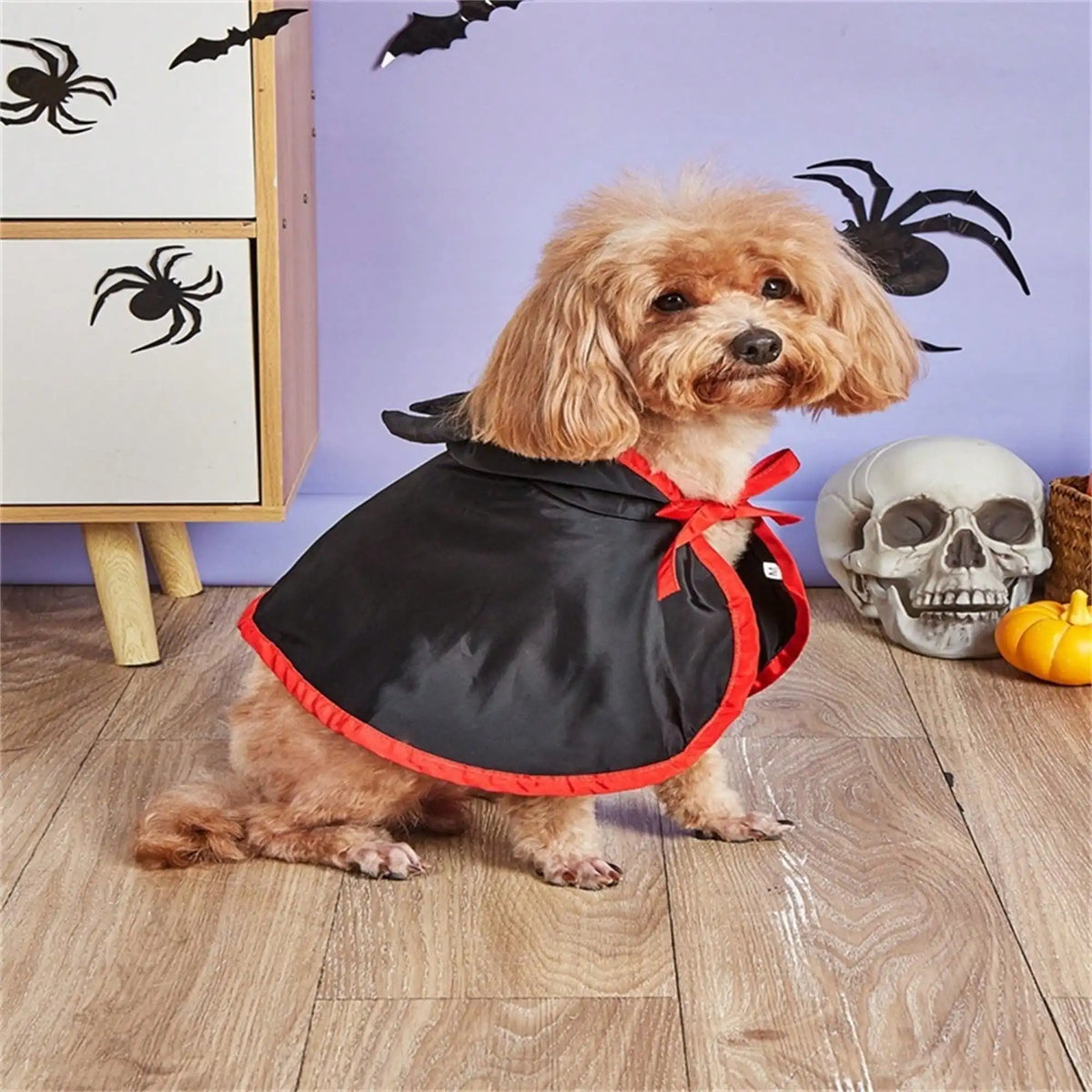 Halloween Dog Costume Cape With Devil Hat And Vampire Headband