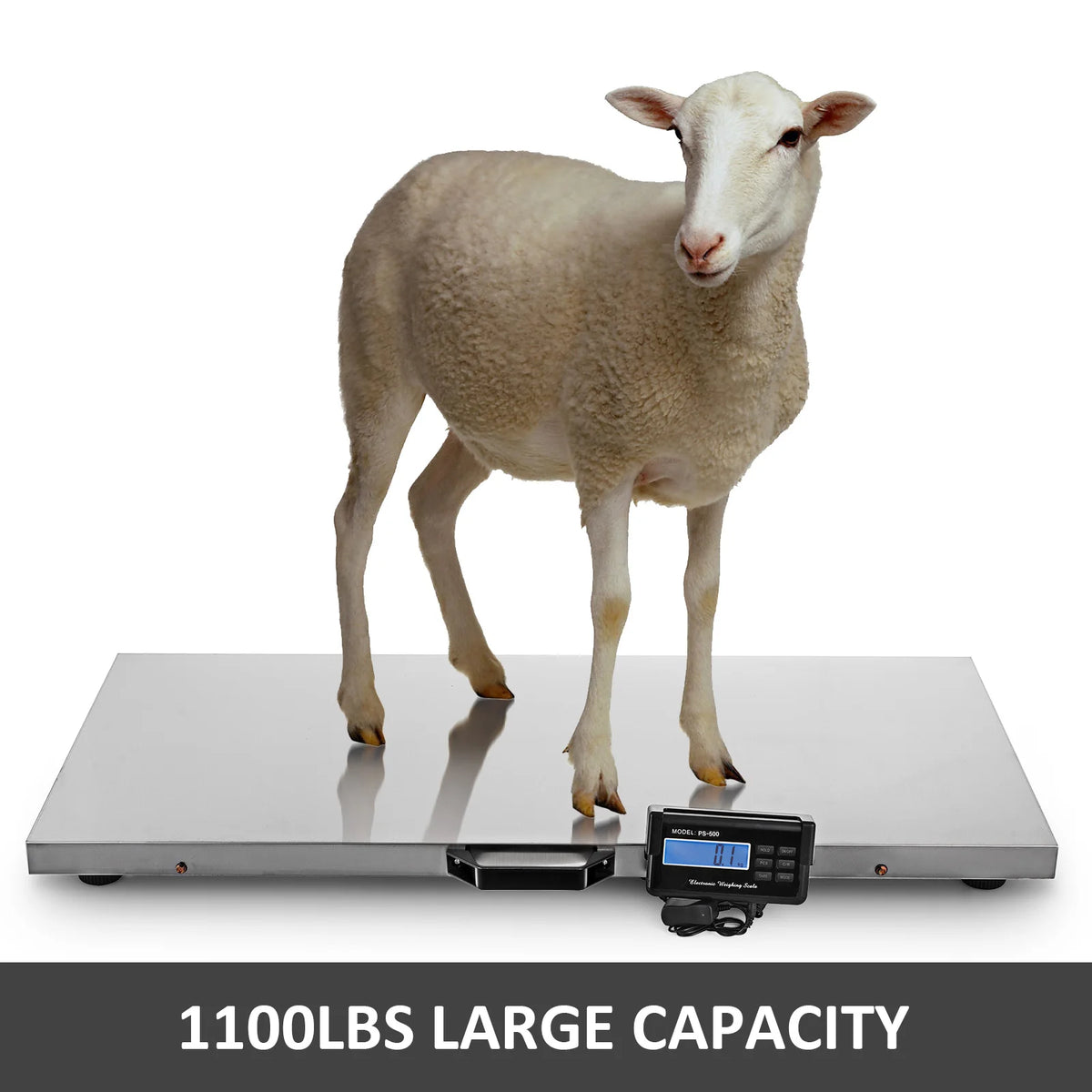Digital Stainless Steel Electronic Platform Scale For Livestock Use