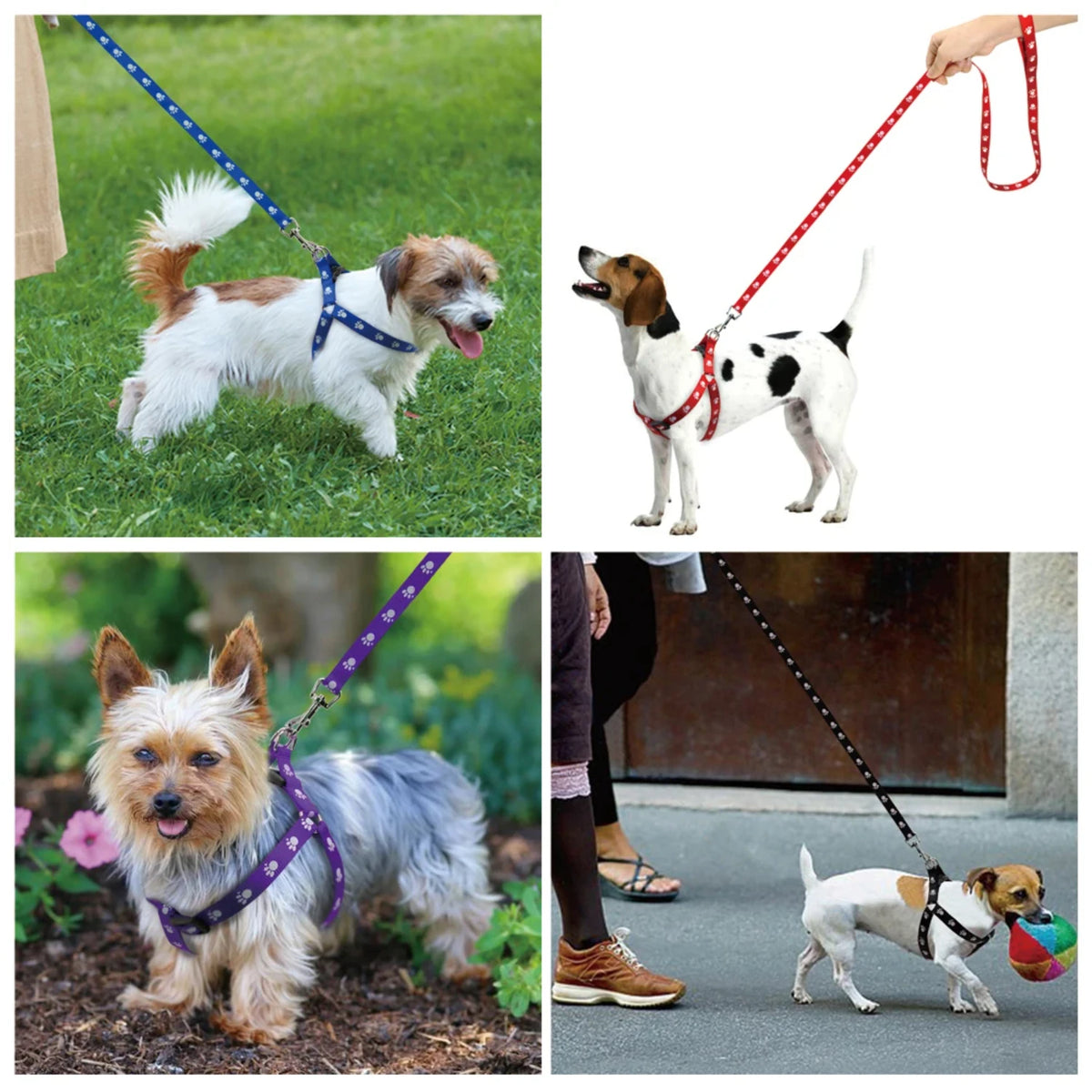 Adjustable Nylon Dog Harness And Leash Set With Paw Print
