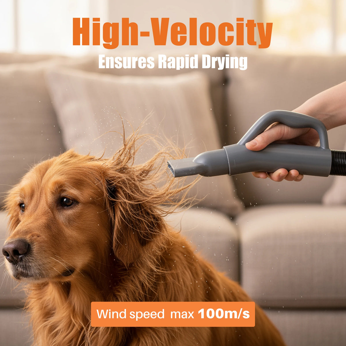 Jhk Low Noise Pet Grooming Vacuum Dryer With Four Nozzles