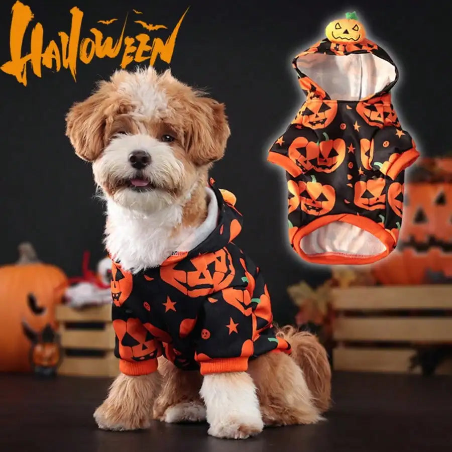 Adjustable Halloween Spider Costume for Dogs Funny Pet Party Outfit