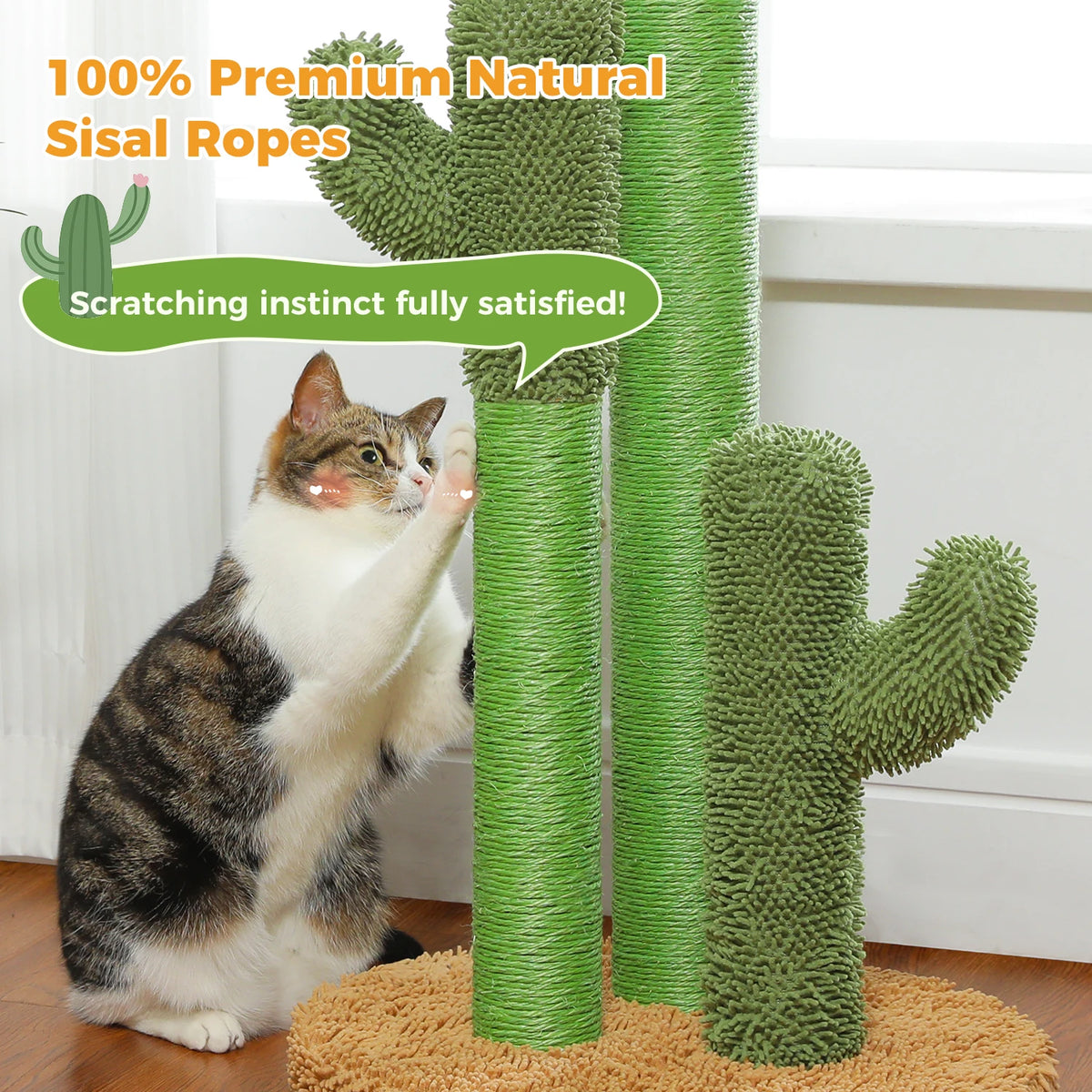 PAWZ Road Cat Scratcher with Sisal Poles and Dangling Ball