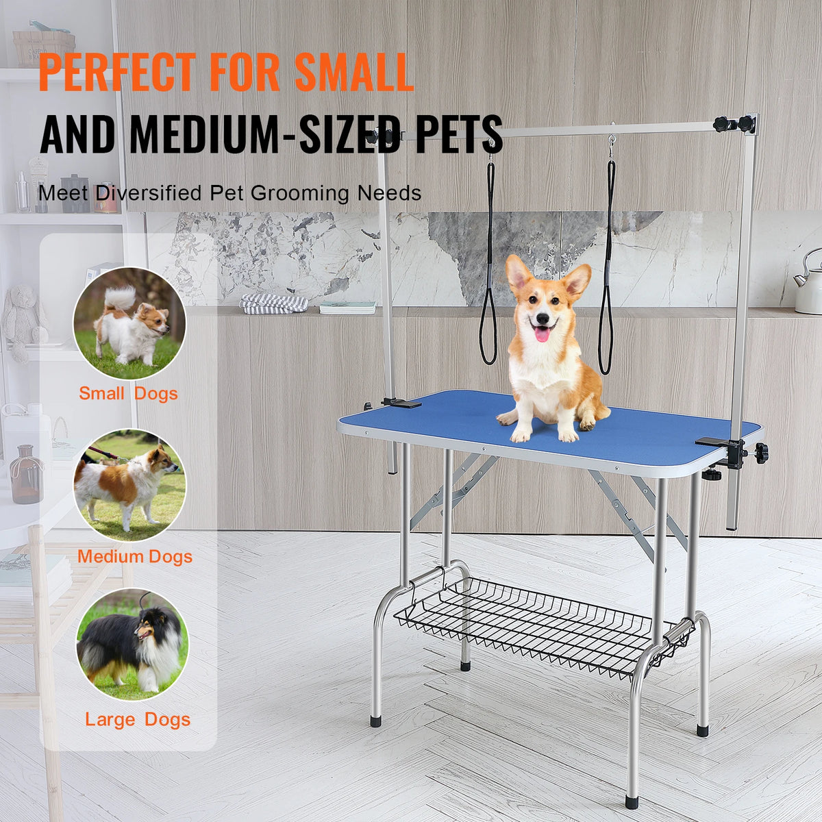 Professional Foldable Dog Grooming Table With Dual Arm Loop