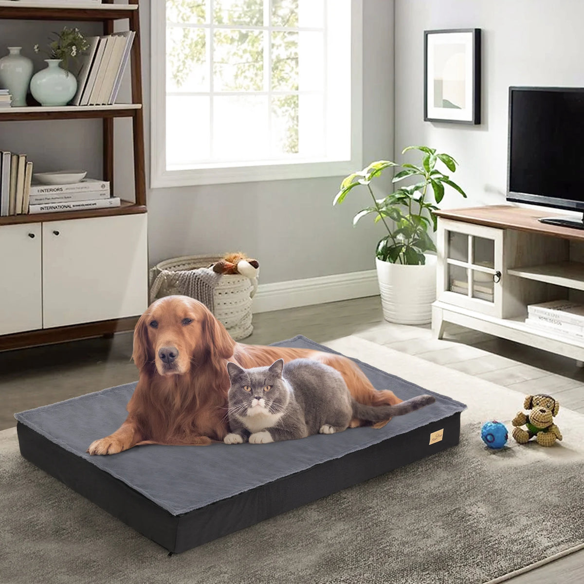 BINGOPAW Washable Orthopedic Dog Bed Sponge Foam Pet Bedding