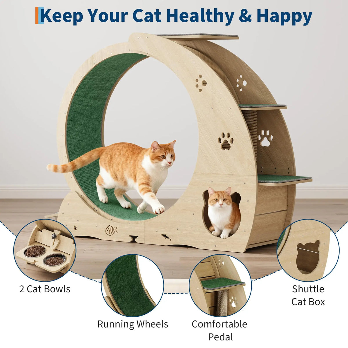 HiMISS Multifunctional Cat Exercise Wheel With Scratch Post