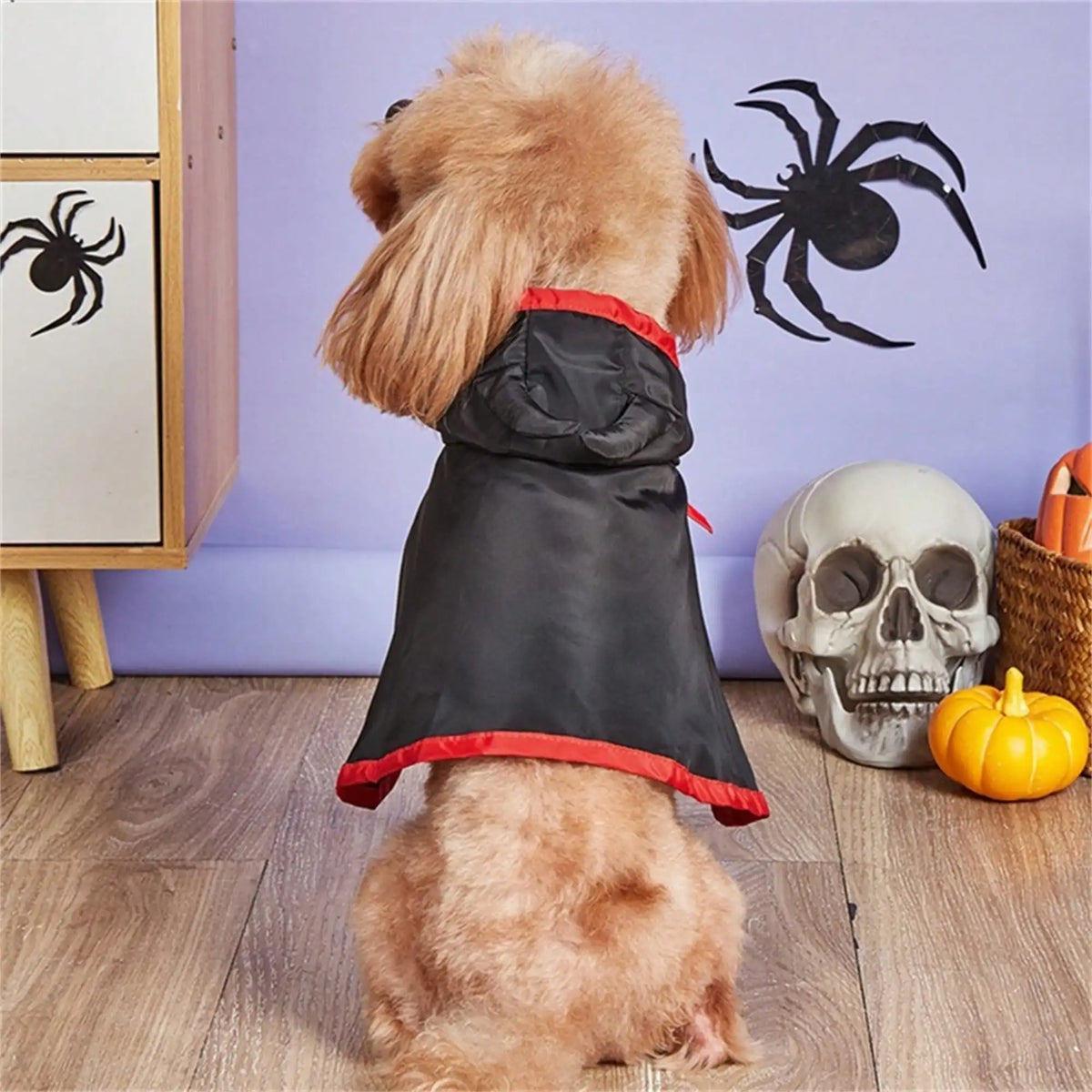Halloween Dog Costume Cape With Devil Hat And Vampire Headband