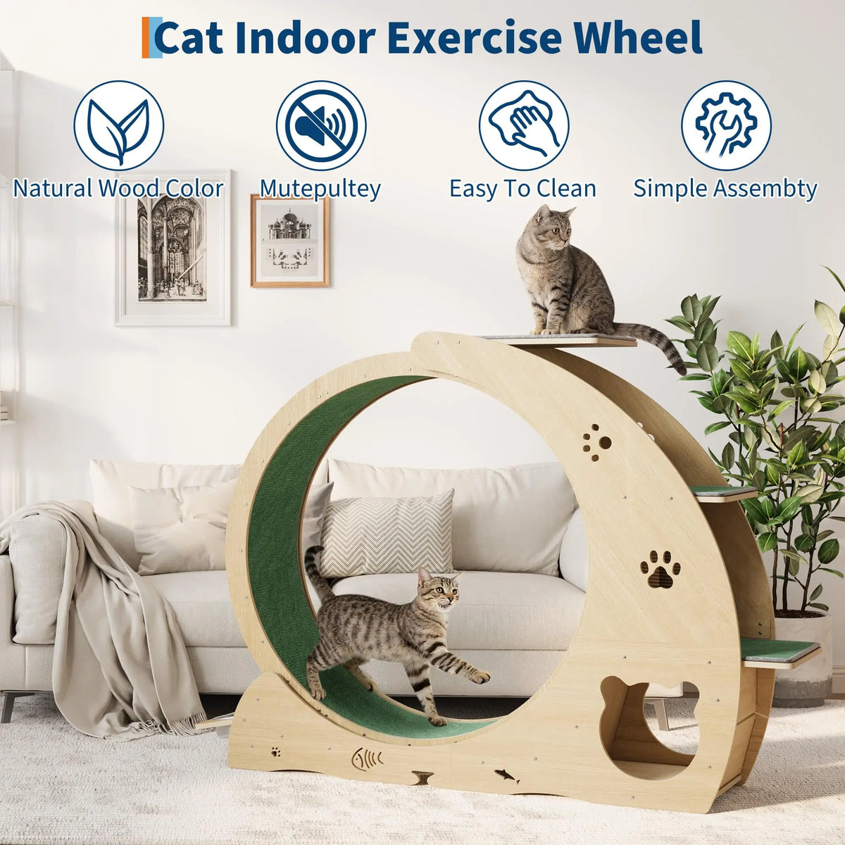 HiMISS Multifunctional Cat Exercise Wheel With Scratch Post