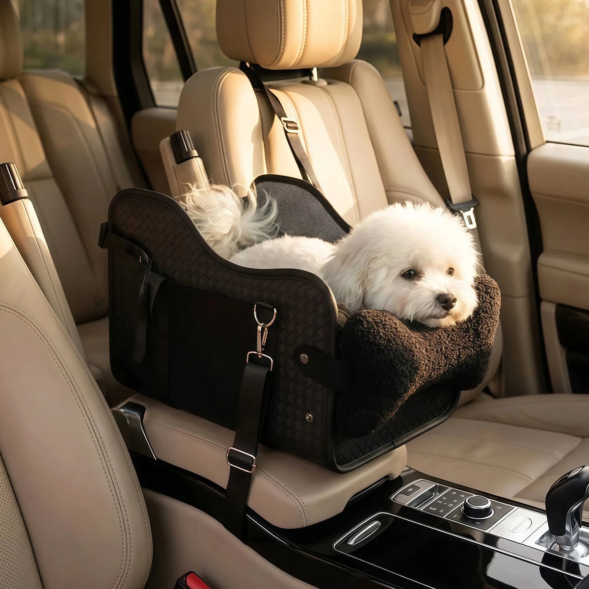 Pet Car Booster Seat With Safety Leash For Small Dogs