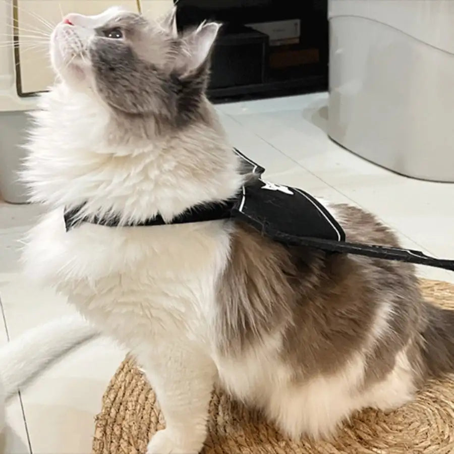 Halloween Bat Wings Costume for Cats and Dogs Devil Print