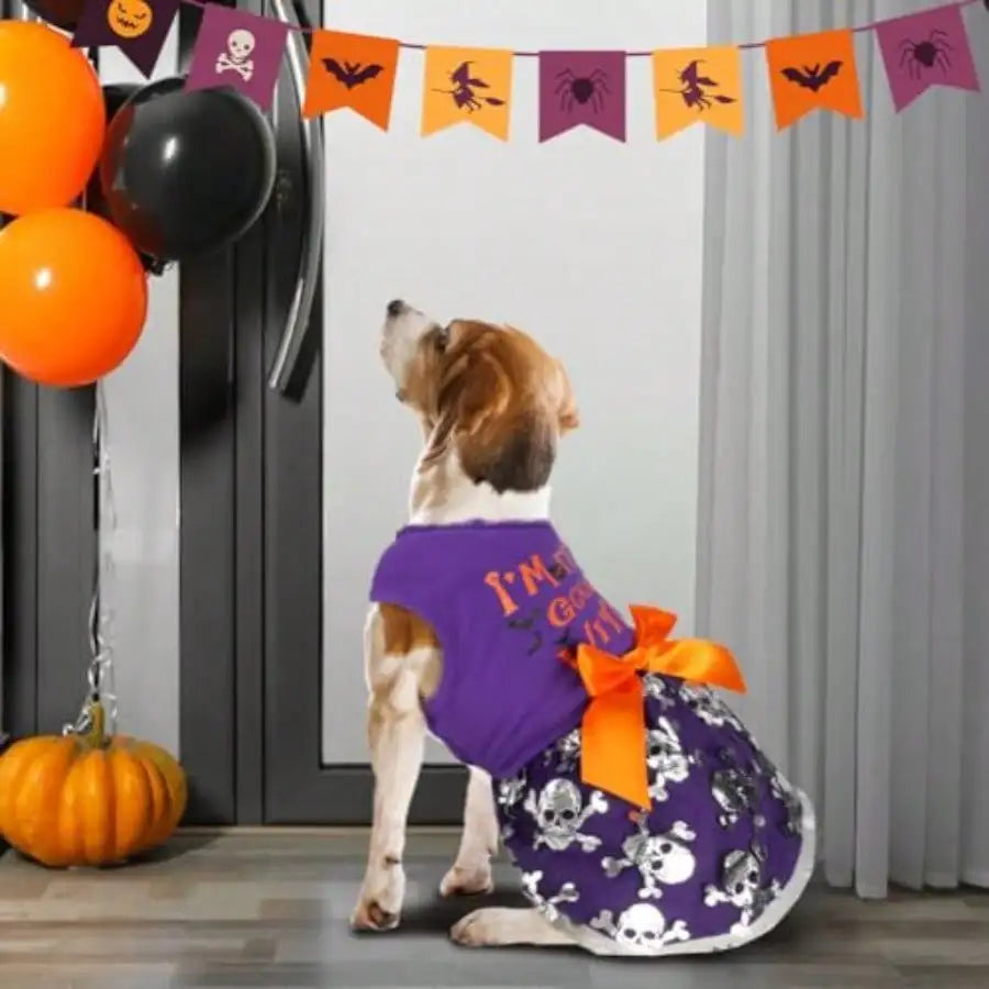 Halloween Dog Costume Dress With Witch And Pumpkin Details