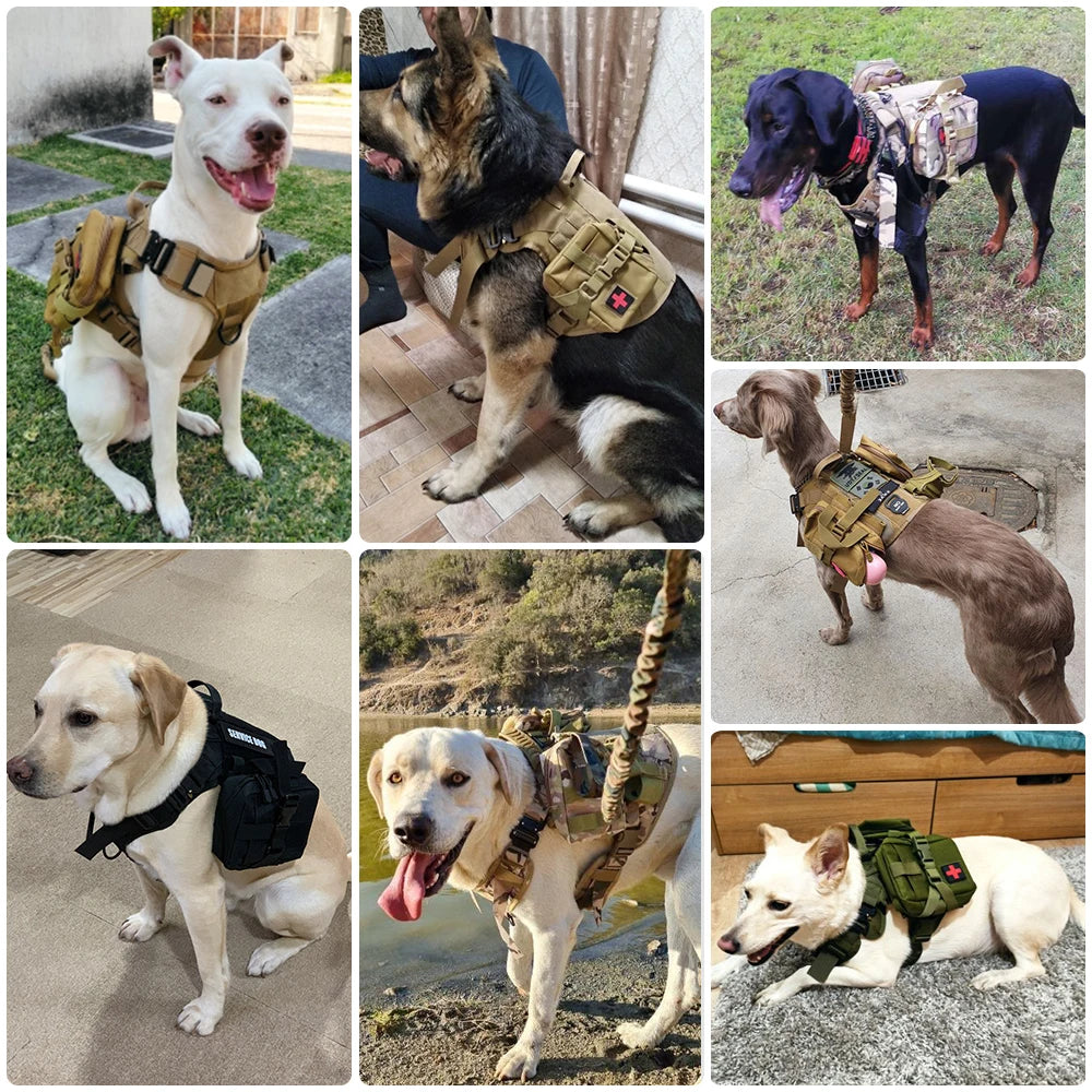 Petravel Padded Military Dog Harness Leash Set With Handle