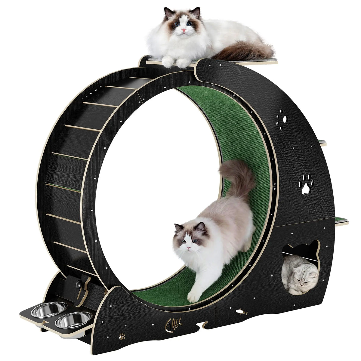 HiMISS Multifunctional Cat Exercise Wheel With Scratch Post