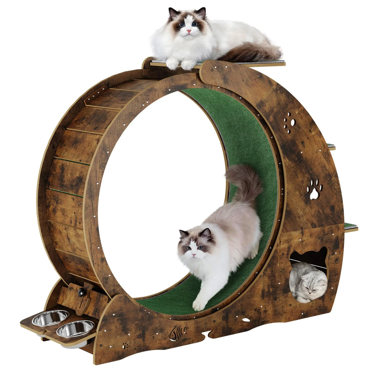 HiMISS Multifunctional Cat Exercise Wheel With Scratch Post