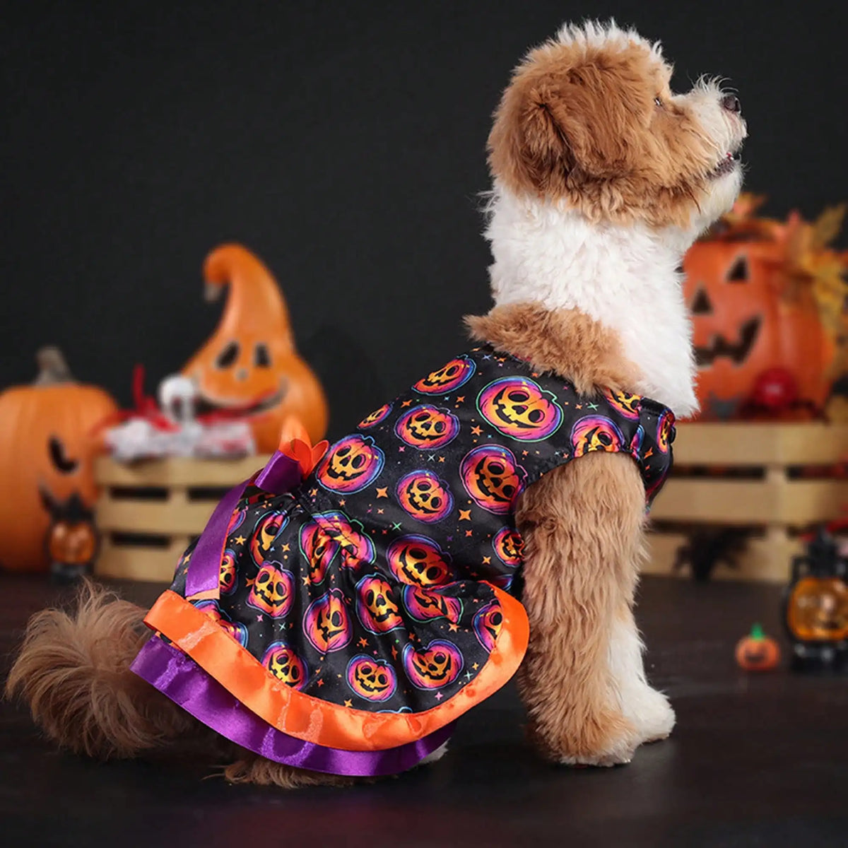 Funny Pumpkin And Skull Print Halloween Dog Dress With Bowknot