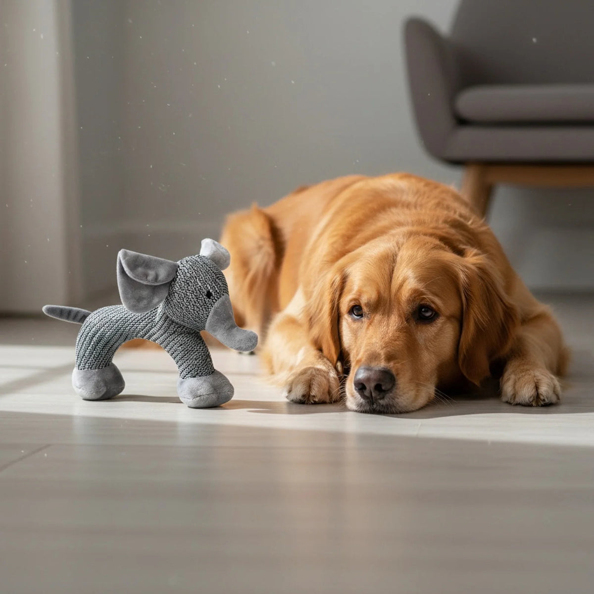 Squeaky Plush Dog Toy Interactive Pet Chew And Playmate