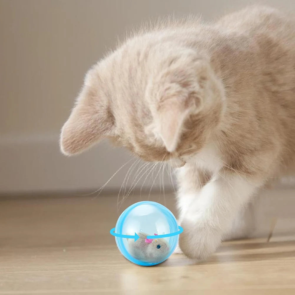 Transparent Electric Rolling Hamster Exercise Ball For Small Pets