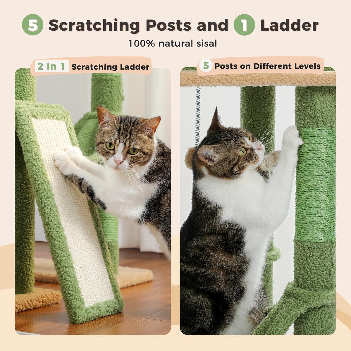Pequlti Adjustable Height Cat Tower With Sisal Post And Hammock
