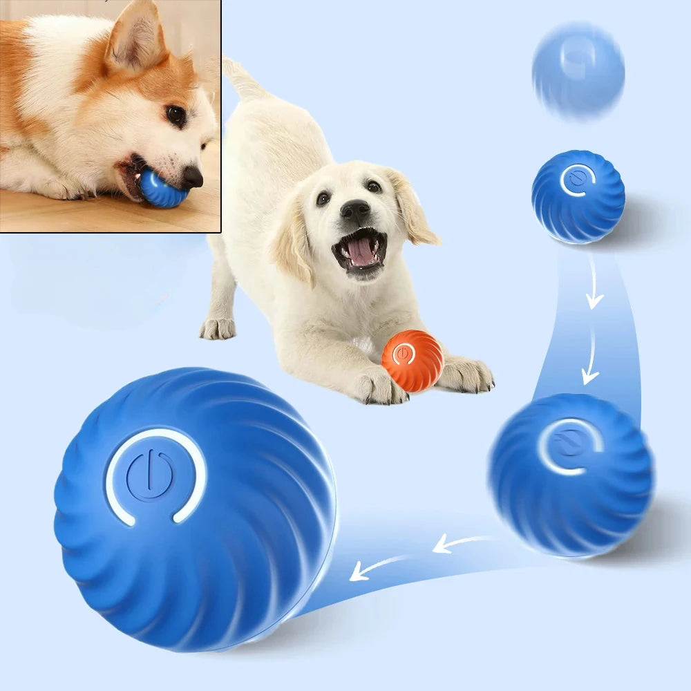Automatic Moving Bouncing Ball Interactive USB Dog Toy For Puppies