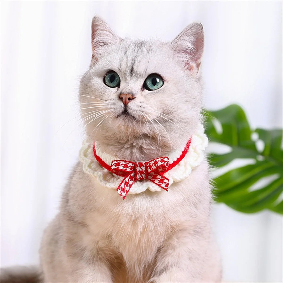 Adjustable Bow Knot Hand Knitted Decorative Pet Collar